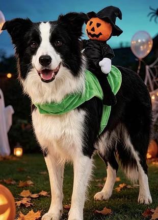 Костюм на helloween для собак та котиків