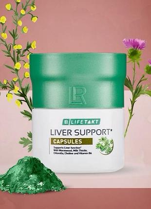Lr lifetakt капсули для підтримки печінки лр