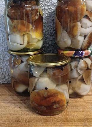 Білий маринований ціленький
