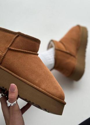 Трендові жіночі уггі ugg ultra mini platform beige | 39–41