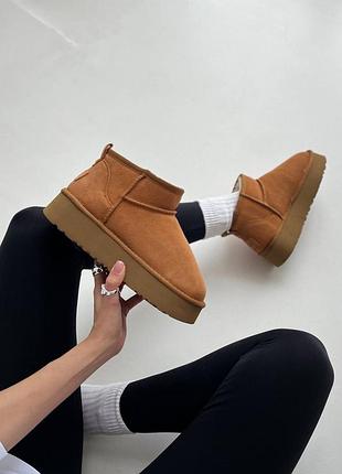 Трендові жіночі уггі ugg ultra mini platform beige | 39–41