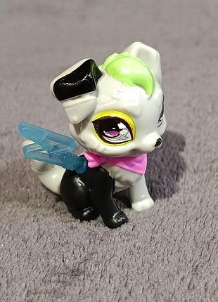 Фигурка собака ватзи ,watzie, питомец фрэнки штейн ,frankie stein, из 3-го поколенич monster high, mattel то