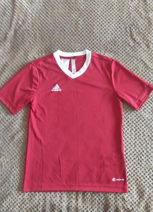 Яскрава жіноча футболка adidas