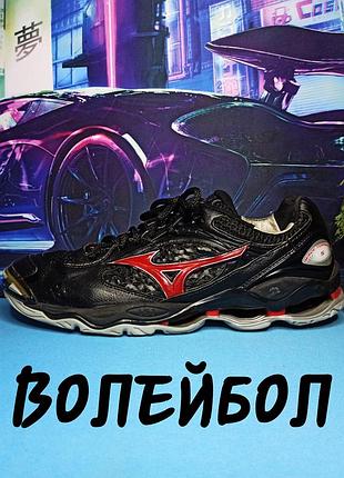 31см волейбольні mizuno wave tornado 5 кросівки