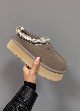 Ugg tazz | dried oregano premium