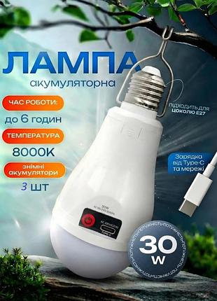 Лампа аккумуляторная led 30 w/e27 с зарядкой type-c и 3 аккумуляторами белый/холодный белый 8000k