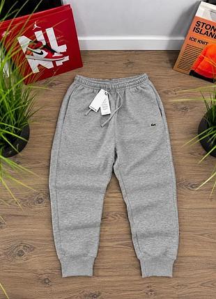 Костюм lacoste сірий фліс 2
