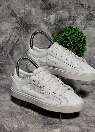 Женские кроссовки adidas originals sleek, 36,5/23,5 см