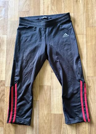 Adidas шорти велосипедки розміру с