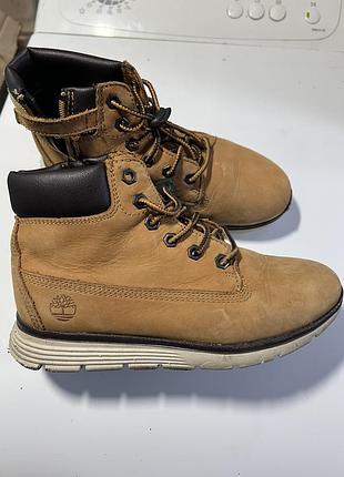 Черевики унісекс timberland жовті