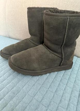 Чорні жіночі оригінал ugg