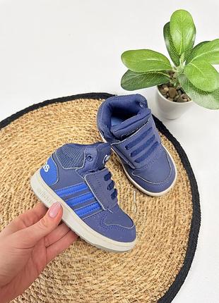 Хайтопи adidas для хлопчика