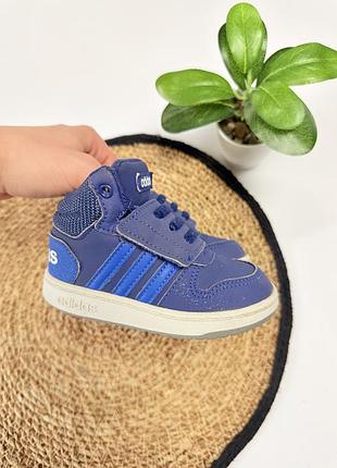 Хайтопи adidas для хлопчика 2