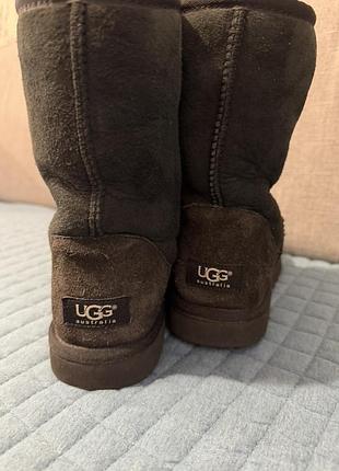 Черные женские оригинал ugg 6