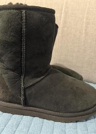 Черные женские оригинал ugg