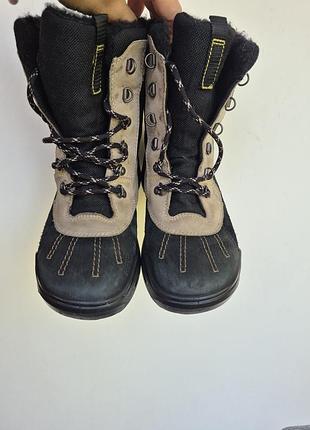 Зимові черевики ecco  р 37