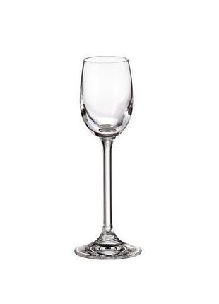 Набор рюмок bohemia crystal colibri gastro 65 мл 6 шт 4s032