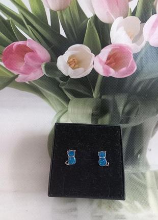 Сережки сережки