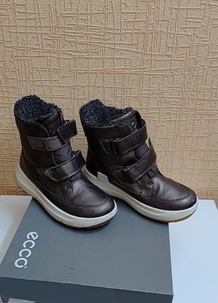 Сапожки ecco solice