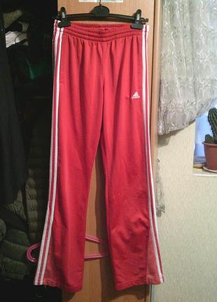 Спортивки adidas