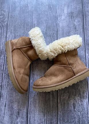 Жіночі замшеві уггі ugg