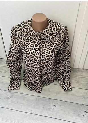 Леопардовая женская рубашка от h&m xs/s(34/36)