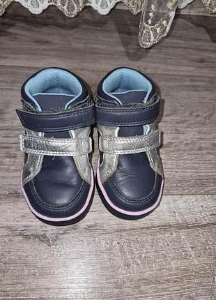 Черевики   clarks