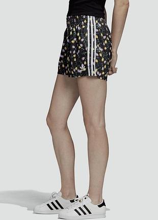 Нові жіночі шорти adidas originals allover print (оригінал / xs)