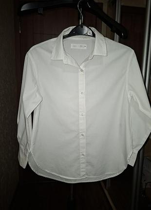 Біла сорочка zara для дівчинки 9–10 років