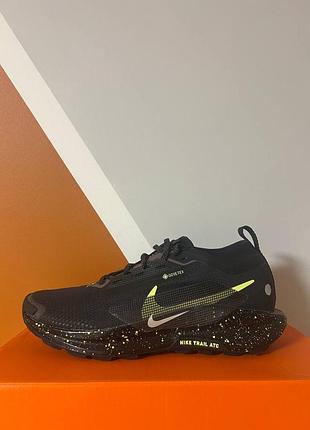 Мужские кроссовки nike pegasus trail 5 gore-tex