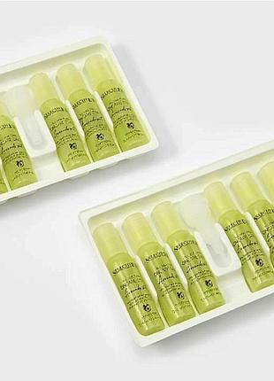 Italy,selective professional daily superfood serum for dry hair without rinsing 13ml*12 ампул , несмываемая защитная элитная проф.сыворотка -суперфуд