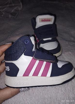 Кросівки adidas високі, білі з рожевим та синім, довжина устілки 12,5 см