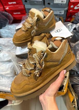 Ugg lowmel sneaker brown