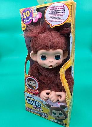 Інтерактивна іграшка для дівчинки moose toys little live pets — my baby monkey minis (chikki cherry) коричнева