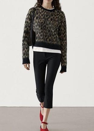 Леопардовий светр massimo dutti