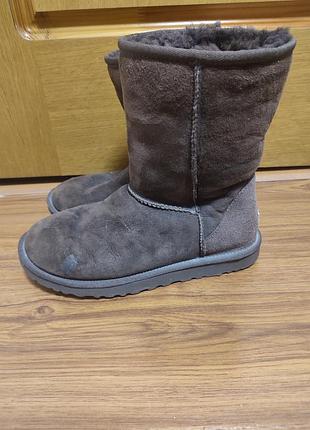 Уггі жіночі ugg коричневі