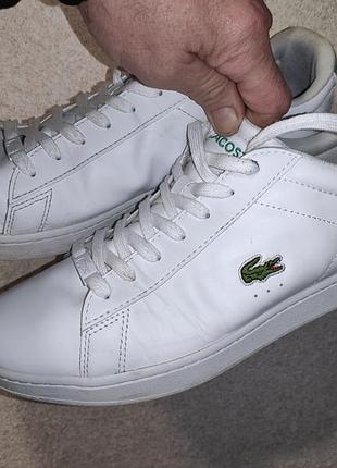 Стильные оригинал белые кожаные кеды кроссовки lacoste carnaby.46