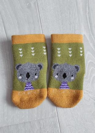 Тёплые носочки duna коалы носки для младенцев