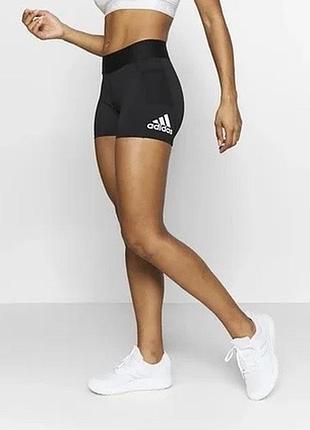 Спортивні шорти adidas р.хs
