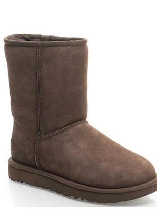 Замшевые угги ugg classic short ii
