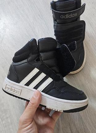 Черевики кросовкі adidas