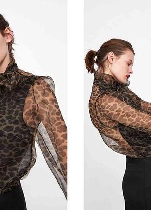 Шикарна блуза zara