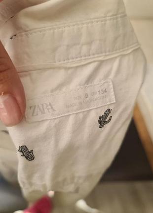Две рубашки zara и gap 3