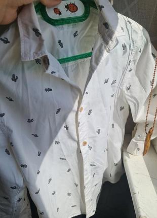Две рубашки zara и gap 2