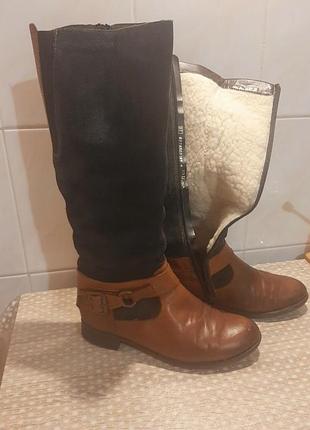 Чоботи зимові жіночі