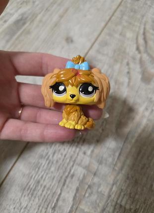 Коллекционная фигурка собачки littlest pet shop (lips)
