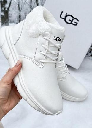 Женские зимние кроссовки ugg/зимние белые кожаные угги