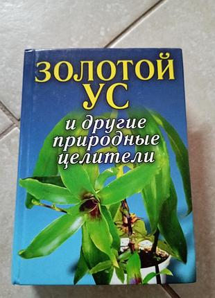 Золотий ус і інші природні цілітелі