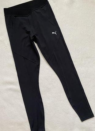 Спортивні лосіни puma 10