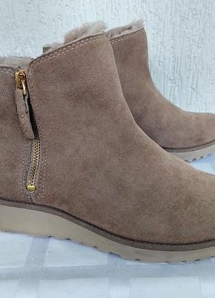 Замшевие зимние полусапожки ugg australia р.38